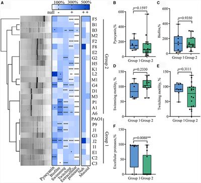 Phenotypic heterogeneity unveils a negative correlation between antibiotic resistance and quorum sensing in Pseudomonas aeruginosa clinical isolates